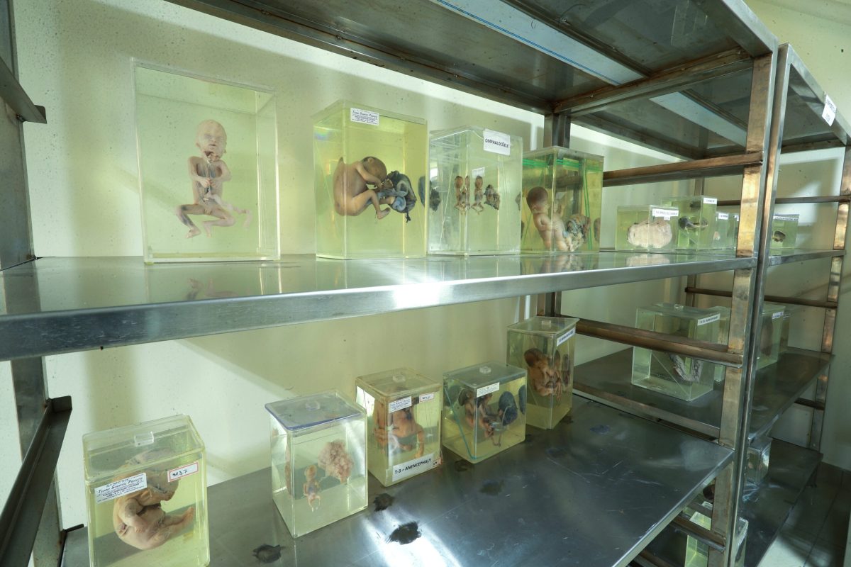 BGS Global Institute Of Allied Health Sciences | BGS GIAHS